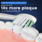 Sonic Electric Toothbrush For Adults  Usb Rechargeable Toothbrush