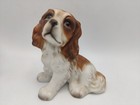 13cm Henry Knox Hhh Cavalier King Charles Spaniels Blenheim Bisque Figurines