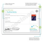 Trent Alexander-arnold Signed 2018-2019 Champions League Programme