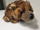 Webkinz Grizzly Bear Plush Only Brown Bear Ganz Plushie No Code Hm187 