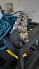 01-06 Bmw E46 M3 S54 Z4m Individual Throttle Bodies Itb Intake