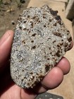 114 4g Main Mass Of Nwa 17762 Eucrite W  Fresh Crust   Magnetic Susceptibility  