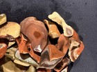 Royal Imperial Jasper Rough 1 Lb 15 Oz 25 In Lot Mexico  Rare Variety shape