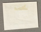 1916   National Philatelic Society   Lynn Mass Imperf Poster Stamp - Green