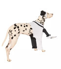  01871193  Spirit Halloween Terrifier Art The Clown Pet Dog Costume Sizes Vary