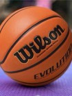 Wilson Evolution Indoor Game Basketball Size 7 29 5  Official Game Ball