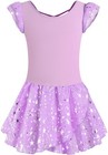 Ballet Leotards For Girls Dance Skirted Leotard Kids Ballet Tutu Dress Toddle   