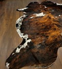 Premium  Colombian Exotic Tricolor Brindle  Xlarge Natural Cowhide Rug 75 x80  