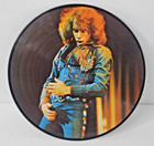 Neil Diamond 12  Picture Disc - 12 Greatest Hits Lp Vinyl Record Promo 1984