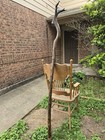 Wooden Wizard Staff walking Stick