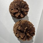 Large Natural Pine Cones Pacific Northwest Craft Projects Decor 7    8     Set Of 2