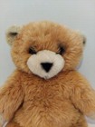 Vintage Applause Avanti Plush Bear 1982 Soft 18  Stuffed Animal Made In Korea