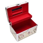 Portable Makeup Train Cases Professional Travel Makeup Bag Large Capacity Bea   