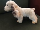 Antique Mohair-type Stuffed Animal Dog  spaniel   With Bell - Steiff    