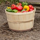 Lehman s Usa Made Half And Full Bushel Baskets  Poplar Wood With Handles  2 Pack