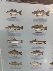 Busch Light Beer Sign - Fishing - Hunting - Metal Poster Reel In A Cold One