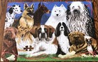 Fetching Friends Jigsaw Puzzle Melissa   Doug Missing Collie Bulldog Doberman 