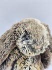 Jellycat Small Bashful Woodland Babe Bunny Plush Stuffed Grey Brown 8   