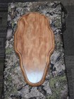 Beautiful Cherry European Mount Plaque For Deer Skull Mounts