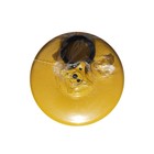 New Cat 175-2949 1r-0750 Fuel Filter And Water Separator Kit For Fass Lift Pumps