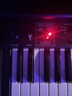 Crumar 61-key Single Manual Organ Mojo61