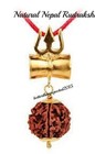  Energized--7 Mukhi  face  Rudraksha Pendant Mala - Nepal Origin Aaa  quality