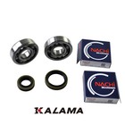 Nachi Main Bearing   Oil Seal Kit For Suzuki Rm85 02 23