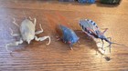 Hexbug Nano Bots Vibrating Bugs Micro Robots Real Life Bugs