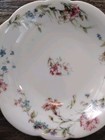 New York Central Lines Railroad Dining Car China Ice Cream Shell Depew Pattern