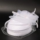Woman Sinamay Fascinator Hat Pillbox Derby Hats Linen Feather With Veil Vinta   