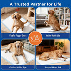50 100pcs 32  X  58  Extra-large Size Housebreaking  Dog Pee Pads