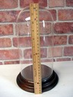 12   x5    Glass Dome Bell Jar cloche Specimen Display Case Wood Base
