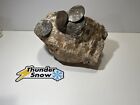              Las Vegas Nevada Vintage Pioneer Hotel      Huge Concrete Chunk With Tokens
