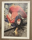     Beautiful Milo Manara Print Of Spider-woman  variant  1           italian Import   