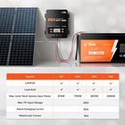 Litime 60amp 12v 24v 36v 48v Dc Input Mppt Solar Charge Controller no Bluetooth 