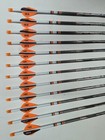 12-easton Axis Spt Sport 340 5mm Carbon Arrows W  Blazer Vanes   Steel Half-outs