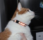 Reflective Cat Collars Bell Breakaway Safety 6 Pack Mixed Colors Nylon Pet