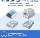 Petsafe Scoopfree Reusable Tray For Cat Litter Box   4 3lb Crystal Litter     Fits