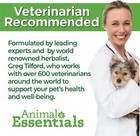 Animal Essentials Plant Enzymes And Probiotics 300 Gram Supplement For Pets