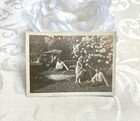 Unusual 1920s Antique Photo Flappers Car Chesterfield Cigarettes Ad Bear Guns