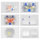 Plastic Transparent Dental Box Denture Storage Box Film Membrane Colorful Hinge