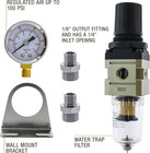 Heavy Duty Diaphragm Mini Pressure Regulator With Gauge And Water Trap Filter -