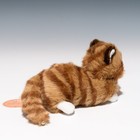 Takenoko Petit Dream Mini A Cat Brown Stuffed Animal  95008 