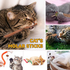 Cat Toys Cat Chew Toys  Silvervine Sticks Catnip Rope Toys For Cats Teeth Cleani