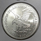2025 W 1 Oz American Silver Eagle  1 Coin Bu Brilliant Uncirculated  999 Fine
