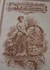 Sling s      Rare Topless Beauty 1877 Gold  Merchants National Bank Check