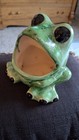 Vintage Drip Glaze Green Glossy Frog Sponge Holder Planter Large Mouth Frog
