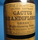 Vintage Eli Lilly Cactus Grandiflorus Free Shipping     Jj