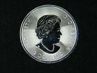 2018  2 1 2 Ounce Silver Coin Canada Polar Bear 9999 Fine Ag Royal Canadian Mint