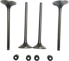 Cylinder Intake Exhaust Valve Set For Honda Sportrax 400 Trx400ex 2x4 1999-2008